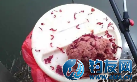 红虫钓鱼调漂总空竿？多数人第一步就做错，正确调法全在这里
